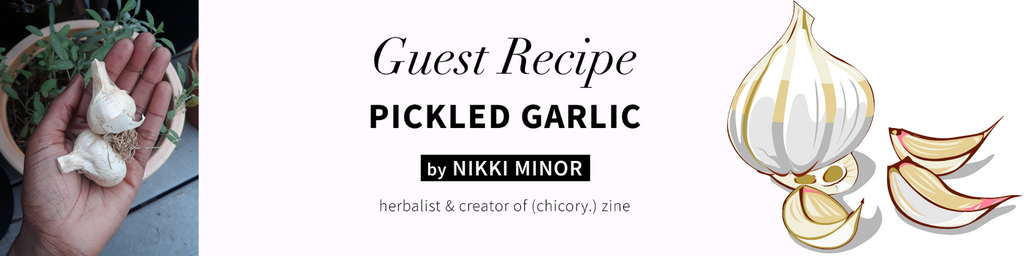 Guest Recipe: Pickled Garlic with Nikki Minor of (chicory.) zine ...